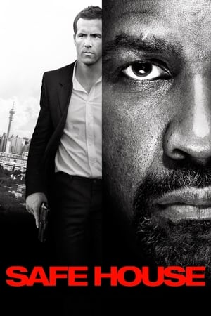 Safe House (2012) Hindi Dual Audio 720p BluRay [1GB]