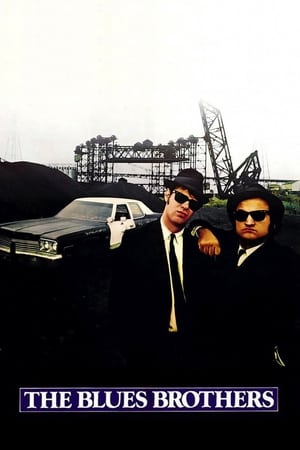 The Blues Brothers (1980) Hindi Dual Audio Movie 720p BluRay - 1.2GB