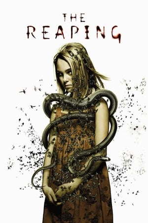 The Reaping (2007) Hindi Dual Audio 720p BluRay [700MB]